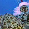 В Мексике появился подводный Санта-Клаус