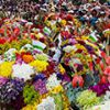 Колумбия ждет гостей на Праздник цветов